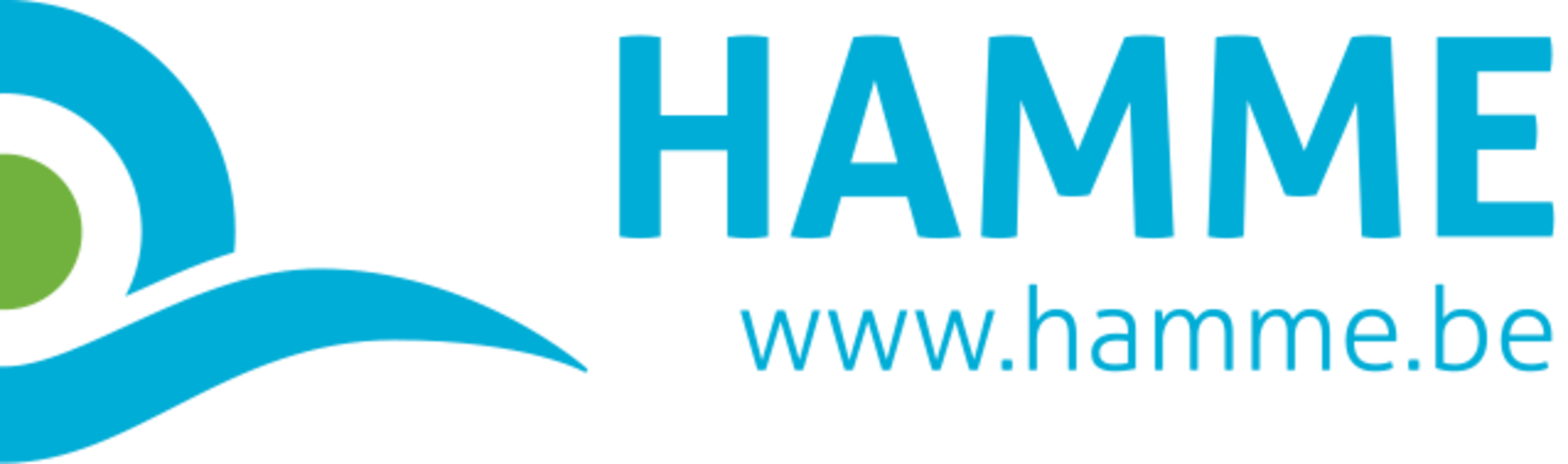 OCMW Hamme